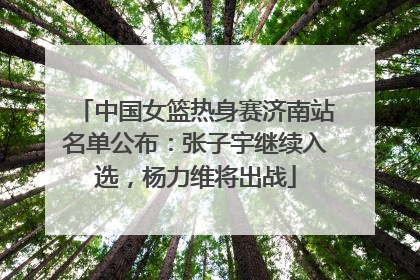 中国女篮热身赛济南站名单公布：张子宇继续入选，杨力维将出战